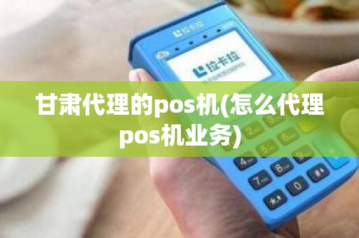 甘肃代理的pos机(怎么代理pos机业务)