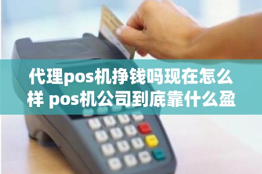 代理pos机挣钱吗现在怎么样 pos机公司到底靠什么盈利