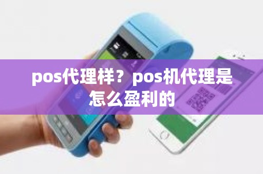 pos代理样？pos机代理是怎么盈利的