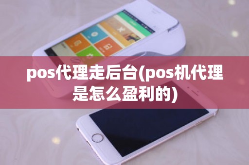 pos代理走后台(pos机代理是怎么盈利的)