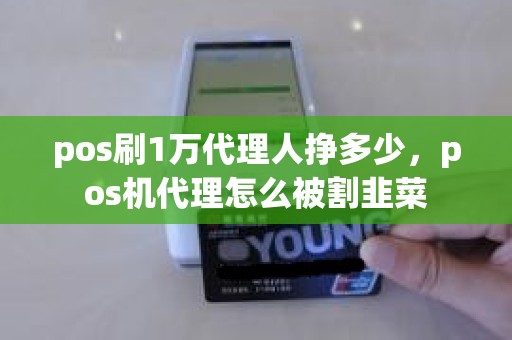 pos刷1万代理人挣多少，pos机代理怎么被割韭菜