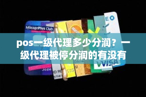 pos一级代理多少分润？一级代理被停分润的有没有