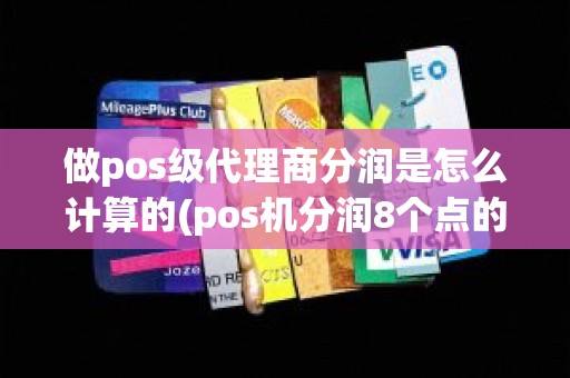 做pos级代理商分润是怎么计算的(pos机分润8个点的税点)