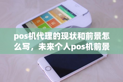 pos机代理的现状和前景怎么写，未来个人pos机前景