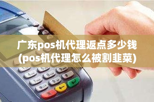 广东pos机代理返点多少钱(pos机代理怎么被割韭菜)