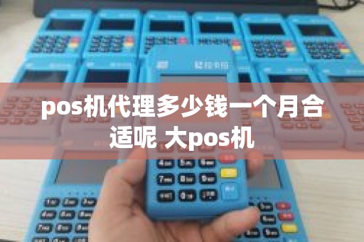 pos机代理多少钱一个月合适呢 大pos机