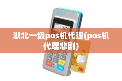 湖北一级pos机代理(pos机代理悲剧)