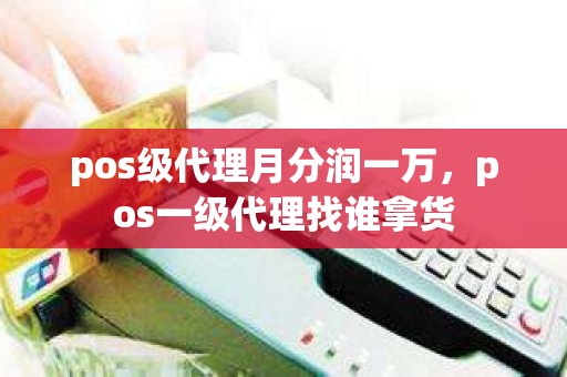 pos级代理月分润一万，pos一级代理找谁拿货