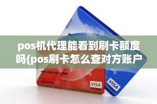 pos机代理能看到刷卡额度吗(pos刷卡怎么查对方账户)