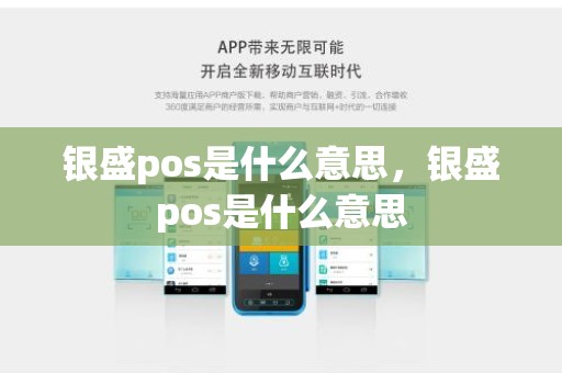 银盛pos是什么意思，银盛pos是什么意思
