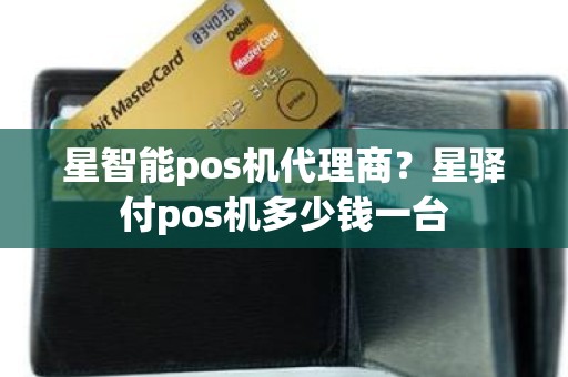 星智能pos机代理商？星驿付pos机多少钱一台