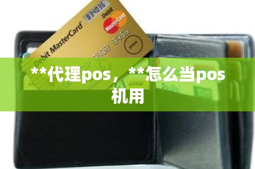 **代理pos，**怎么当pos机用