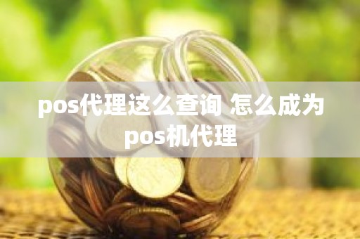 pos代理这么查询 怎么成为pos机代理