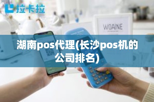 湖南pos代理(长沙pos机的公司排名)