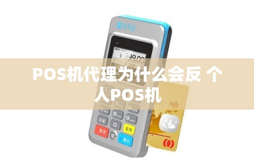 POS机代理为什么会反 个人POS机