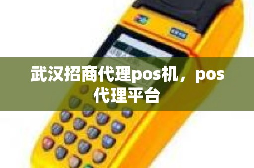 武汉招商代理pos机，pos代理平台