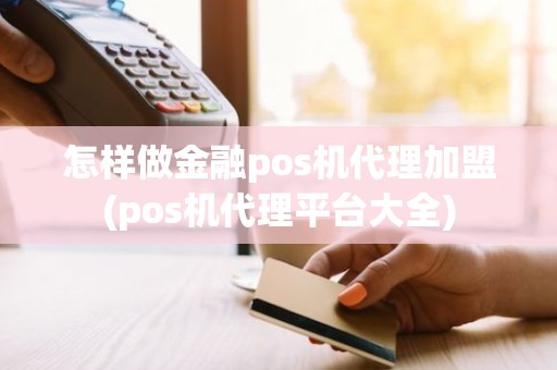 怎样做金融pos机代理加盟(pos机代理平台大全) 怎样做金融pos机代理加盟(pos机代理平台大全)