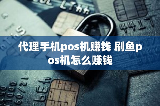 代理手机pos机赚钱 刷鱼pos机怎么赚钱
