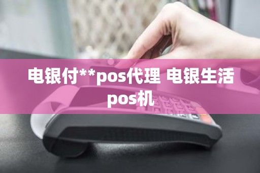 电银付**pos代理 电银生活pos机