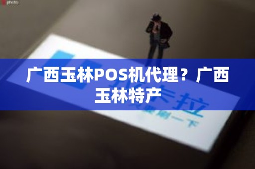 广西玉林POS机代理？广西玉林特产