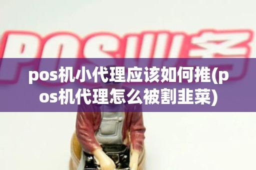pos机小代理应该如何推(pos机代理怎么被割韭菜)