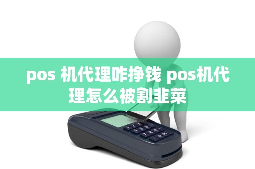 pos 机代理咋挣钱 pos机代理怎么被割韭菜