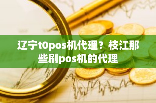 辽宁t0pos机代理？枝江那些刷pos机的代理