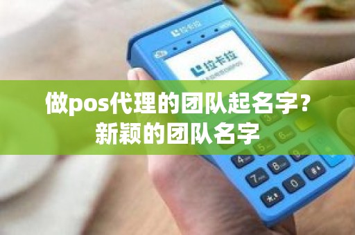 做pos代理的团队起名字？新颖的团队名字