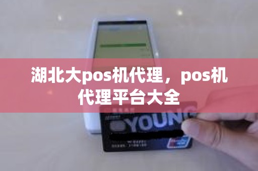 湖北大pos机代理，pos机代理平台大全
