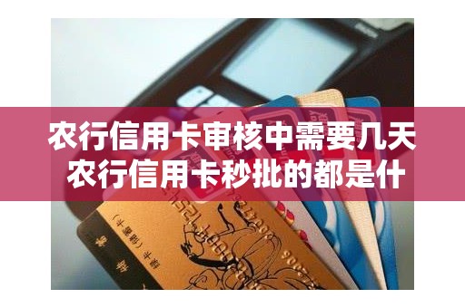 农行信用卡审核中需要几天 农行信用卡秒批的都是什么人