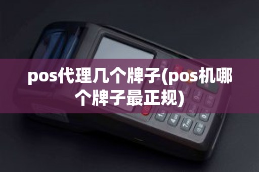 pos代理几个牌子(pos机哪个牌子最正规)