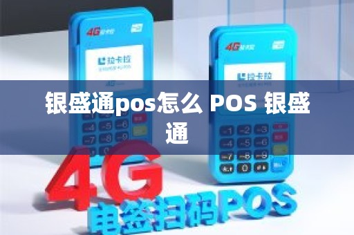 银盛通pos怎么 POS 银盛通