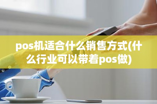 pos机适合什么销售方式(什么行业可以带着pos做)