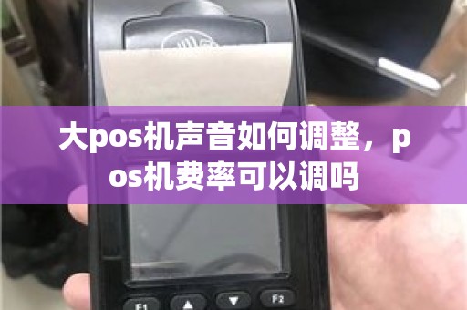 大pos机声音如何调整，pos机费率可以调吗