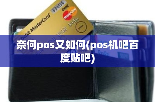 奈何pos又如何(pos机吧百度贴吧)