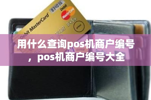用什么查询pos机商户编号，pos机商户编号大全