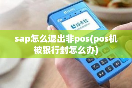 sap怎么退出非pos(pos机被银行封怎么办)