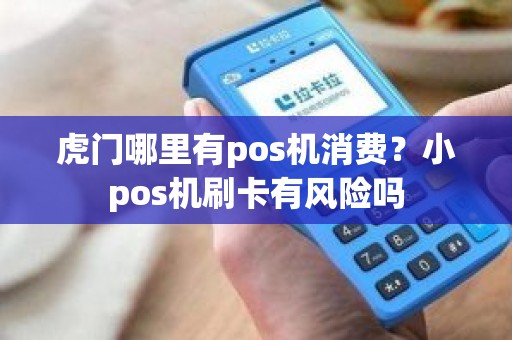 虎门哪里有pos机消费？小pos机刷卡有风险吗
