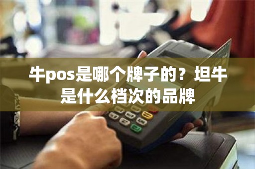 牛pos是哪个牌子的？坦牛是什么档次的品牌