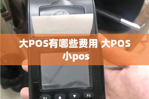 大POS有哪些费用 大POS 小pos