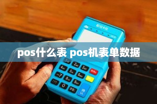 pos什么表 pos机表单数据