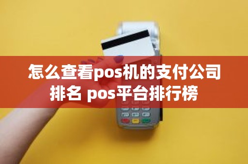 怎么查看pos机的支付公司排名 pos平台排行榜