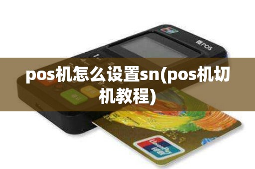 pos机怎么设置sn(pos机切机教程)