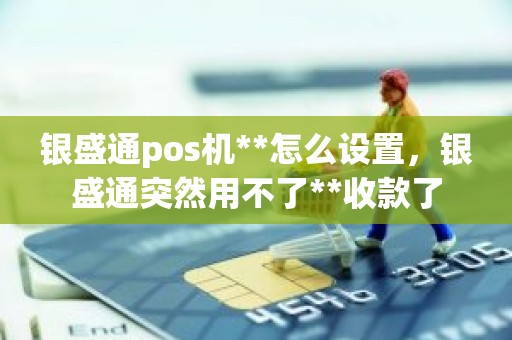 银盛通pos机**怎么设置，银盛通突然用不了**收款了