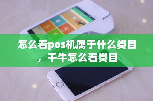 怎么看pos机属于什么类目，千牛怎么看类目