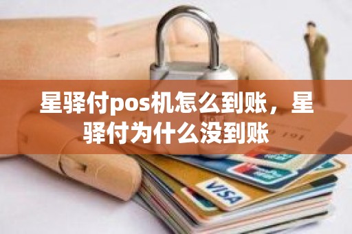星驿付pos机怎么到账，星驿付为什么没到账