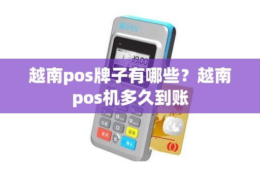 越南pos牌子有哪些？越南pos机多久到账