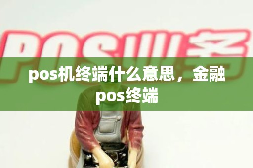 pos机终端什么意思，金融pos终端