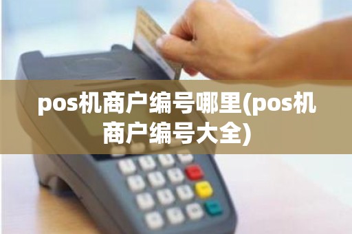 pos机商户编号哪里(pos机商户编号大全)
