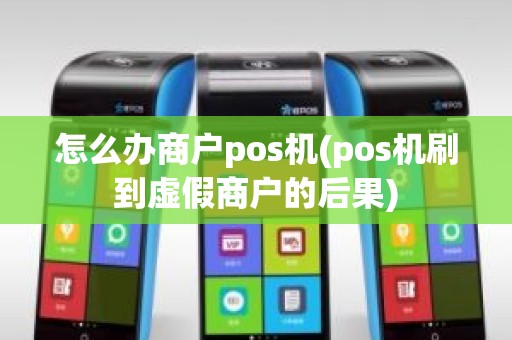 怎么办商户pos机(pos机刷到虚假商户的后果)